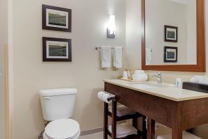 Koupelna v ubytování Comfort Suites