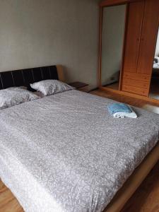 Un dormitorio con una cama grande con espejo. en Inzenieru 77 apartment, en Ventspils