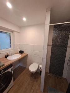 Koupelna v ubytování Apartmán Loft + 10 fotografií