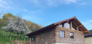 a wooden house with a mountain in the background at Bois de Rêves in Saint-Rambert-en-Bugey