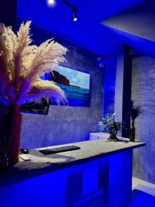 Gallery image of Zyan Rooms in Villahermosa