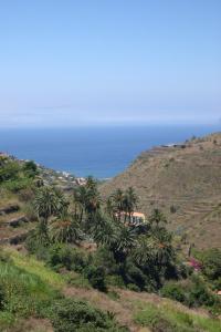 un grupo de palmeras en una colina junto al océano en Casas Rurales Hermigua en Hermigua