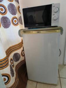 a microwave sitting on top of a small refrigerator at Rossy Cottage in Durban