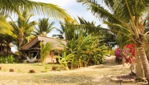 a house on the beach with palm trees at Casa Maresia Ilha do Guajiru in Itarema