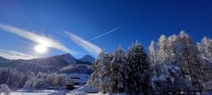 Naturlandskabet i nærheden af lejligheden