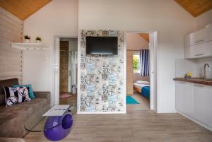 德布吉Domki u Grażyny的客厅里有一张沙发，墙上有一台电视 更多8张照片