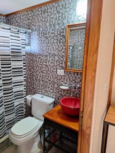 a bathroom with a toilet and a red sink at Hosteria Lago Sur in El Calafate