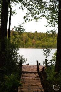 Gallery image of Miško pasaka in Babrungėnai