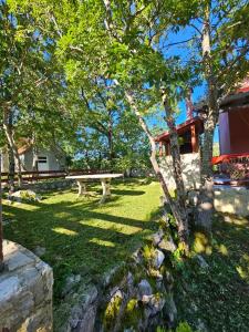 a park with a bench and trees and a house at Holiday Home Nikolić in Njeguši