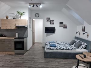 una camera da letto con un letto e una cucina con un tavolo di Apartmán Pod Hrází Chráštany a Benešov Altre 18 foto