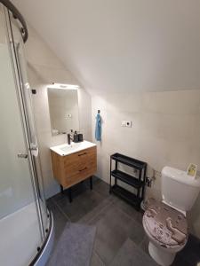 Koupelna v ubytování Apartmán Pod Hrází Chráštany