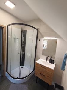 un bagno con doccia e lavandino di Apartmán Pod Hrází Chráštany a Benešov