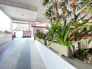 a corridor with potted plants on a wall at Pé na Areia Canto do Forte III in Praia Grande