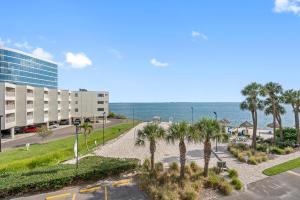 eine Straße mit Palmen und einem Gebäude und dem Meer in der Unterkunft Fun-N-Sun with Spectacular Ocean Views in Tampa