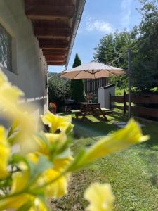 Zahrada ubytování Apartmán U Růži