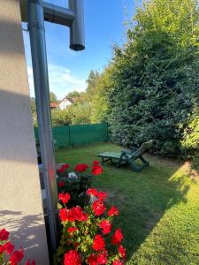 Zahrada ubytování Apartmán U Růži