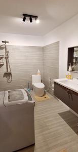 a bathroom with a toilet and a sink at Le Bouchon Public Beach Apartment in Bouchon