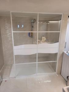 a shower with a glass partition in a bathroom at Appartement Nax in Nax