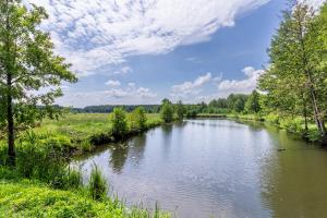 a river in the middle of a field at Agroturystyka Kaczy Brzeg Apartament in Rożnowo
