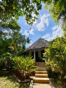 a house with stairs leading up to it at Mangrove Lodge in Zanzibar City