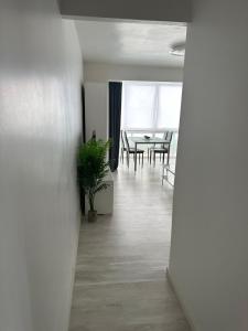 Fotografie z fotogalerie ubytování Apartamento Suzanna v destinaci Benidorm