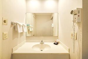 a bathroom with a sink and a mirror at Town & Country Inn & Resort in Gorham