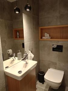 une salle de bain avec un lavabo et des toilettes dans l'établissement Apartament Glamour z wyjątkowym widokiem i klimatyzacją, à Ustroń