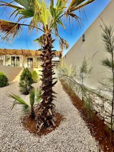 Κήπος έξω από το Magnifique Villa avec piscine