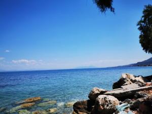 LikoporiáにあるDimos Apartmentsの大水の景色