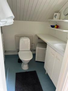 a bathroom with a white toilet and a sink at Lantlig fristående lägenhet in Romelanda +11 photos