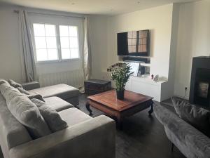 TV a/nebo společenská místnost v ubytování Cœur de la corse niolo