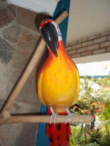 een kleurrijke vogel op een houten stok bij Pousada Riacho Doce in Caraguatatuba