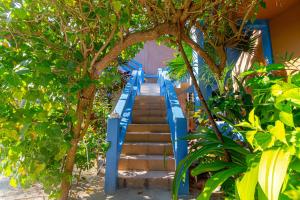 a set of blue stairs with trees in front of a house at White Sands Cove G04- Partial Ocean View 1 BR by Stay Floreo in San Pedro