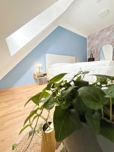Fotografie z fotogalerie ubytování Dachgeschoß Maisonette im Altbau v destinaci Wiener Neustadt