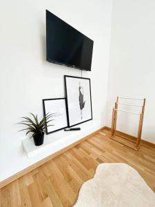 TV a/nebo společenská místnost v ubytování Dachgeschoß Maisonette im Altbau