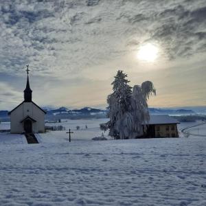 a church in a snow covered field with a tree at appartement de campagne seul in Ursy +7 photos