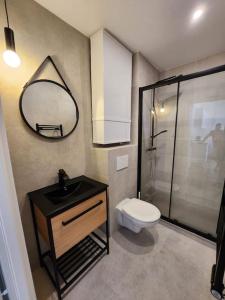 un bagno con un water, un lavandino e uno specchio di Nice Fac St Jean D'Angely a Nizza