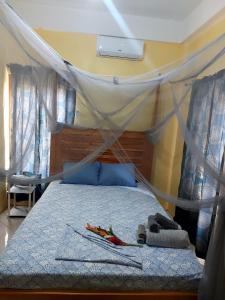 a bedroom with a bed with a mosquito net at Desired View in Choiseul