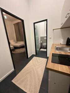 ハンブルクにあるGemütliches 2 Bett Studio in Hamburg City Süd Am Kanalのキッチン(シンク付)、バスルーム