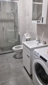 a bathroom with a washing machine and a toilet at Apartman Lola in Novi Grad