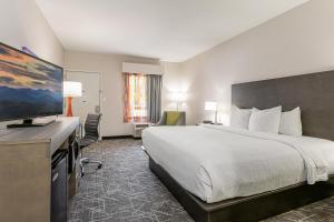 a hotel room with a bed and a flat screen tv at Quality Inn Asheville Downtown Tunnel Rd in Asheville