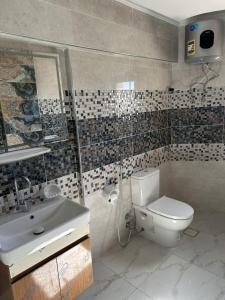a bathroom with a toilet and a sink at شقة فندقية على النيل in Mansoura +15 photos