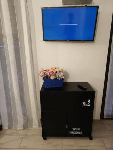 TV a/nebo společenská místnost v ubytování CASA DI LISA Intero appartamento 45mt con parcheggio