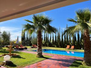 a swimming pool with palm trees in a yard at Villa de luxe à marrakech in Marrakesh