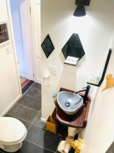 a bathroom with a sink and a toilet at Catskill Cabin Zen Mantra Apt in Shandaken