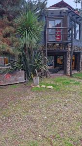 une maison avec un palmier devant dans l'établissement Cabañas El Secreto, à Monte Hermoso