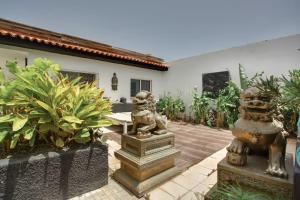 Ogród w obiekcie Apartamento acogedor en la laguna