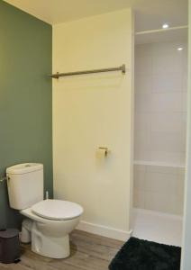 a bathroom with a white toilet and a shower at Chalet cosy au cœur de la forêt de Brocéliande in Beignon +13 photos