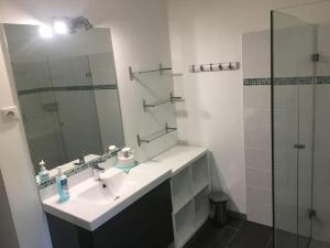 un bagno con lavandino, specchio e doccia di Villa avec Jacuzzi, Lac, océan, plages Arcachon a La Teste-de-Buch Altre 41 foto
