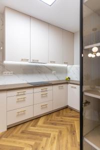 Η κουζίνα ή μικρή κουζίνα στο AH Luxury Designer Aparment Bastova